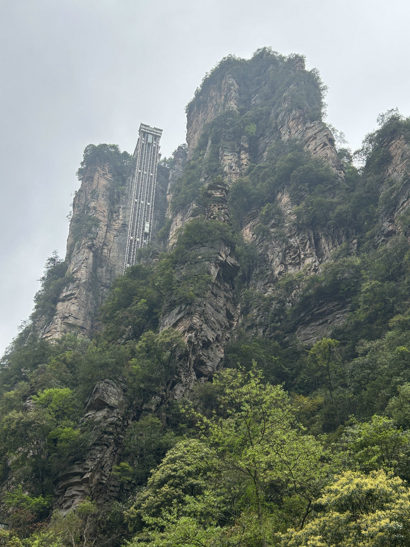 百龙天梯
