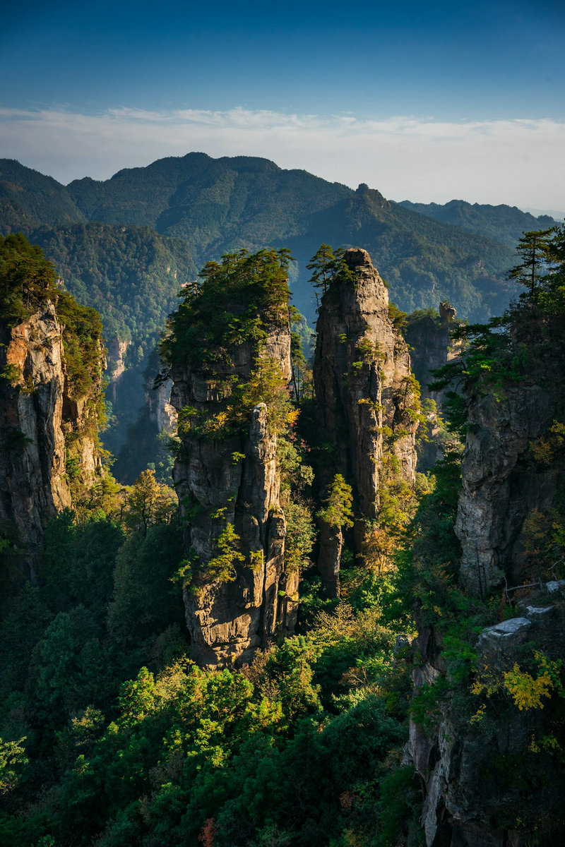 峰林绿树