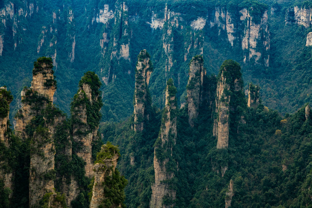 张家界峰林全景