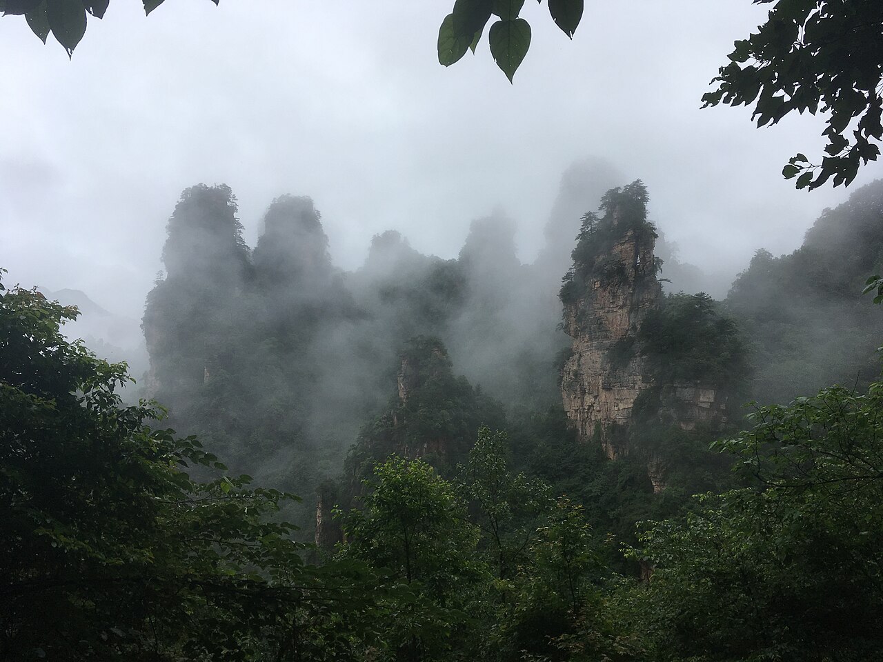 天子山雾中峰林
