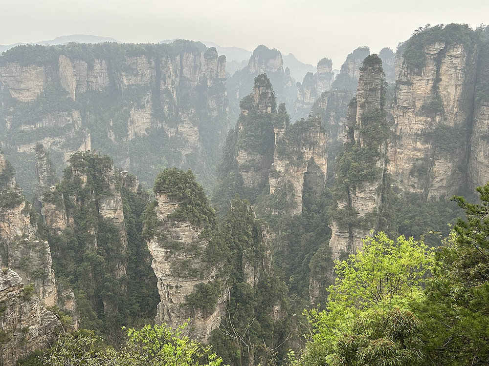 阿凡达仙境
